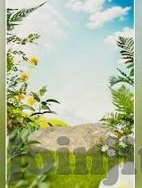 足球比分波胆签约-足球比分波胆新纪元，签约背后的战略布局与市场展望