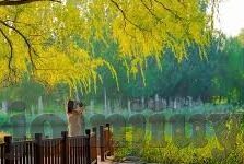 足球比分法乙-法乙风云，比分背后的激情与策略，揭秘法国次级联赛的独特魅力