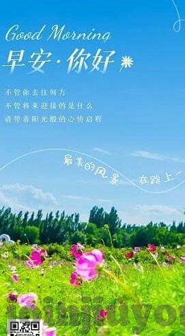 足球比分即时比分188-足球比分即时更新，188平台背后的数据狂欢与球迷文化