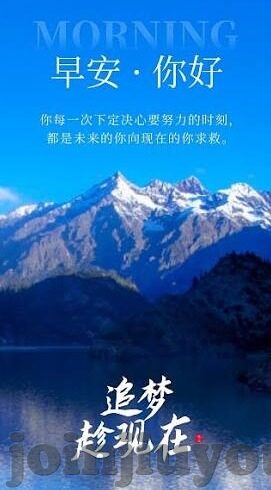 足球比分预测网-足球比分预测网，赛场风云的智慧领航者