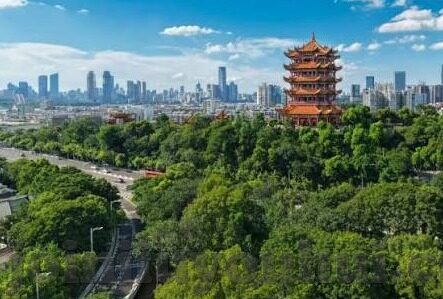 足球比分走地网-足球比分走地网，实时数据背后的竞技狂欢与理性审视